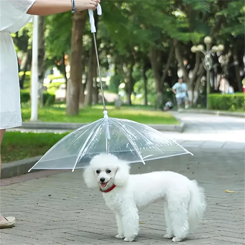 Guarda-Chuva com Guia para Passeio