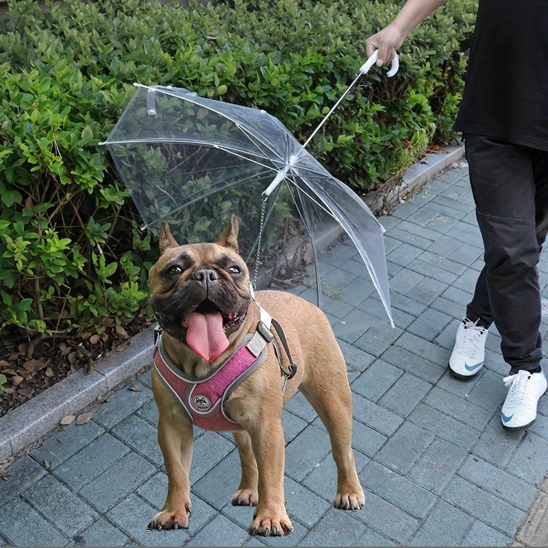 Guarda-Chuva com Guia para Passeio