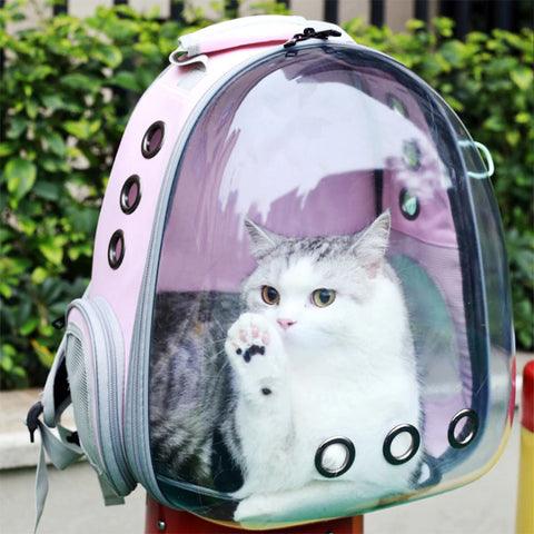 Bolsa de Transporte Transparente para Pets