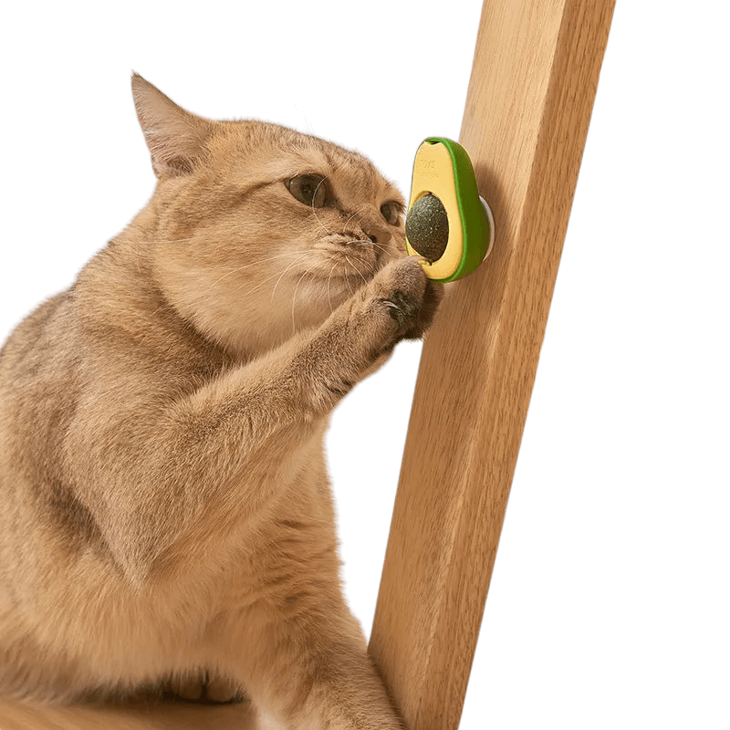 Brinquedo AbaCat Bola de Catnip para Gatos