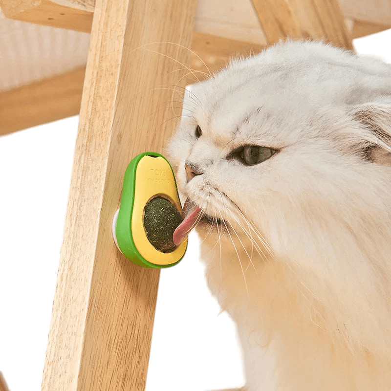 Brinquedo AbaCat Bola de Catnip para Gatos