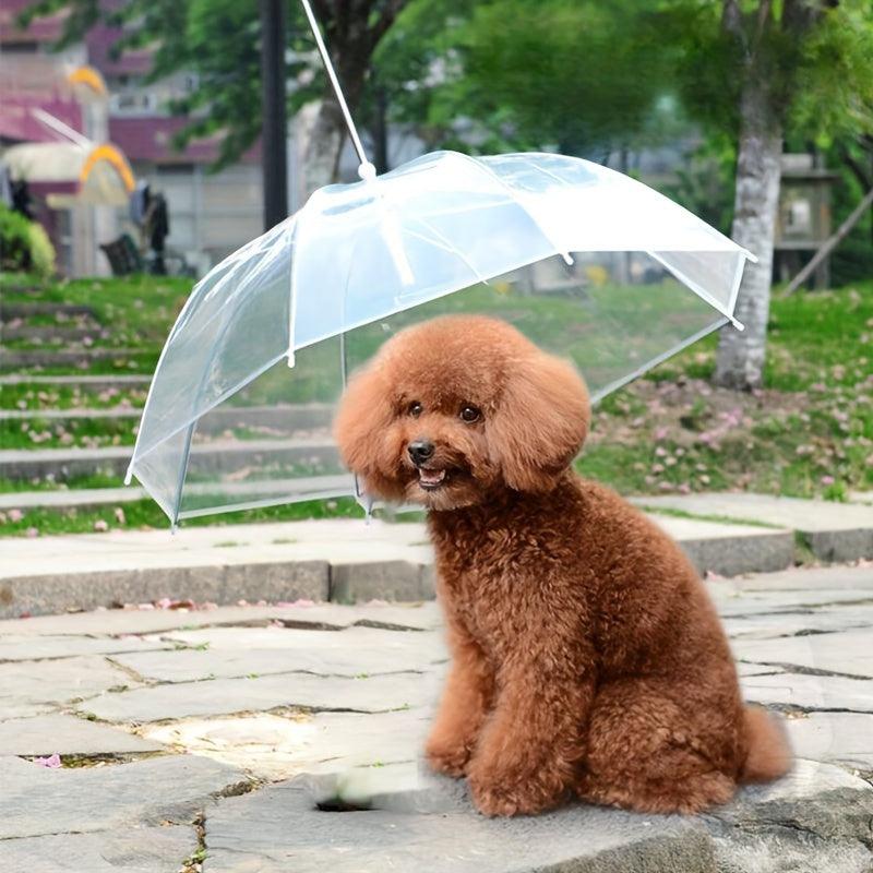 Guarda-Chuva com Guia para Passeio