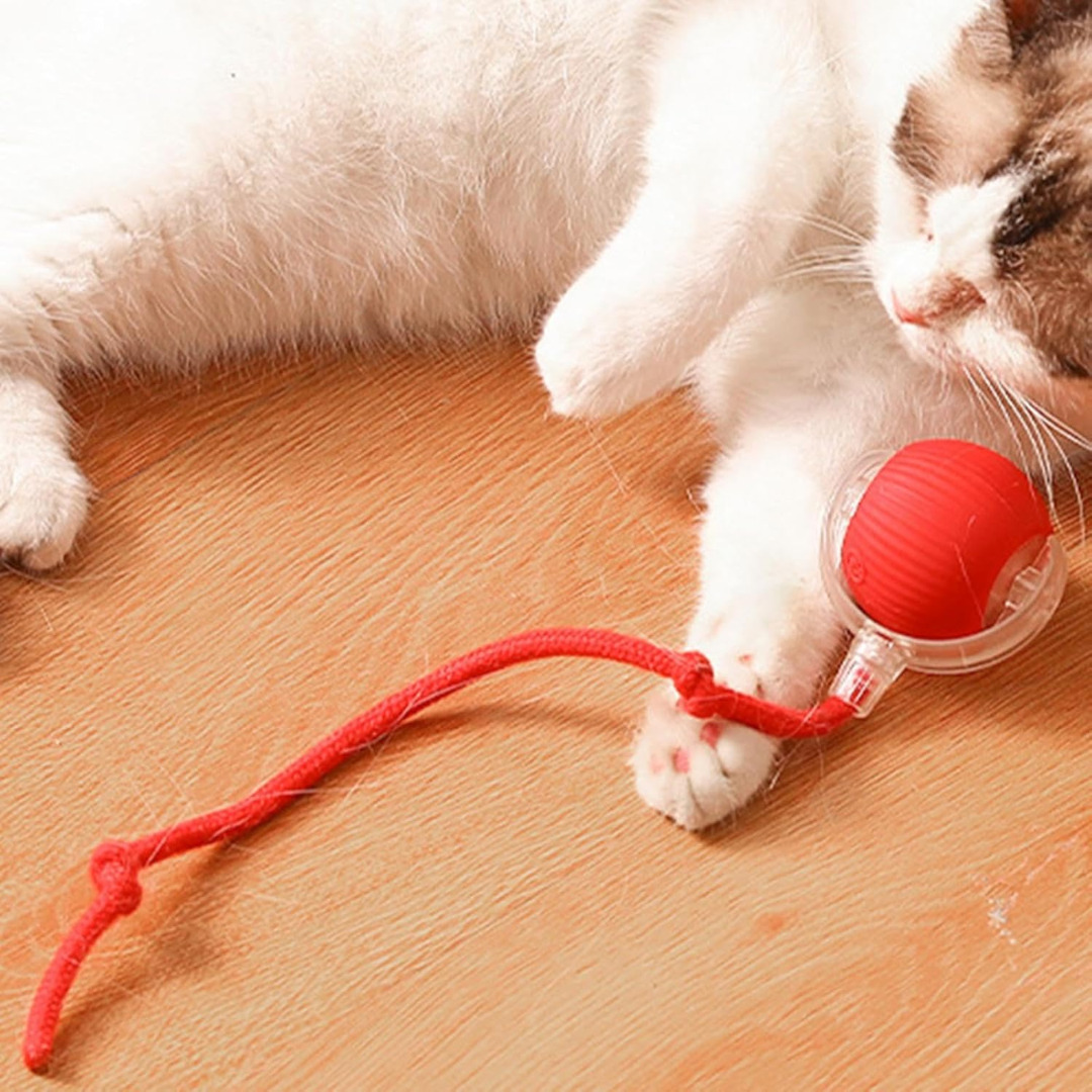 Brinquedo Bola de Caça Eletrônica para Gatos