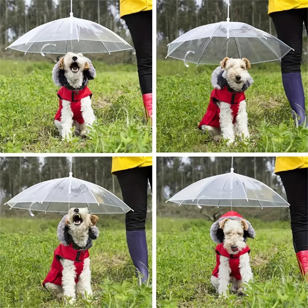 Guarda-Chuva com Guia para Passeio